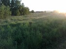 Działka rekreacyjna Ostrów, podkarpackie - 8