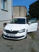 Skoda Fabia 3 - 1