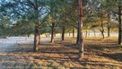 Działki nad rzeką – inwestycja/wypoczynek, Bałtów, Jura Park - 2