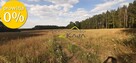 działka przy lesie, z oczkiem wodnym -gm. Świdnica - 2