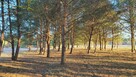 Działki nad rzeką – inwestycja/wypoczynek, Bałtów, Jura Park - 9