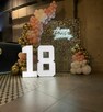 Ścianka balonowa, dekoracje balonowe - 5