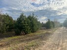 Działki budowlane Nowe Grochale - 5