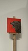 Niedźwiedź brunatny– obraz olejny na płótnie 20 × 20 cm, p - 4