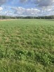 Na sprzedaż dwie działki budowlane w Bronisławach! - 3