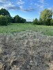 Sprzedam działkę w Radziwiłce, gmina Młodzieszyn - 2