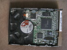 Dysk twardy Samsung SV2042H - 4