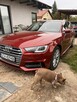 Audi a4b9 s linę 2017r 2.0 tdi 150 km Polski salon - 7