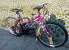 Sprzedam rower damski - 2