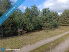 sprzedam działkę Mącice - 3