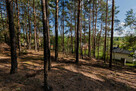 ✅ Sprawdź >>> Działka rekreacyjna (las) - 1602m2 ✅ - 3