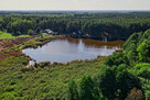 ✅ Sprawdź >>> Działka rekreacyjna (las) - 1602m2 ✅ - 4
