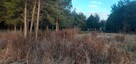 Sprzedam działkę budowlaną - 5