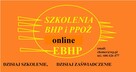 Szkolenie PPOŻ - 39 zł , CAŁA POLSKA - 2