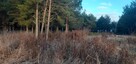 Sprzedam działkę budowlaną - 6