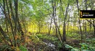 Działka inwestycyjna Niedźwiedź gm. Bogoria, - 9