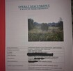 Okazja inwestycyjna 4 działki 50 ar sprzdaż przed licytacją - 1