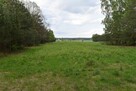 Działka rolna z lasem ok. 1ha. - 10