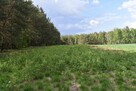 Działka rolna z lasem ok. 1ha. - 3