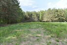 Działka rolna z lasem ok. 1ha. - 6