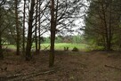 Działka rolna z lasem ok. 1ha. - 11