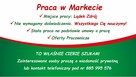 Praca w Markecie Dino Polska Lądek Zdrój