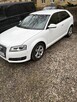 Audi A3, 1.6 tdi, 2011r. - 3