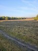 Sprzedam działkę bud- rolną w Łabędziowie 1,1 ha Morawica - 3
