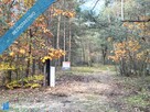 Działka leśna z możliwością zabudowy w MPZP - 3