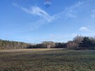PISKÓRKA _ urokliwa działka w otoczeniu natury - 3