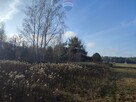 PISKÓRKA _ urokliwa działka w otoczeniu natury - 14