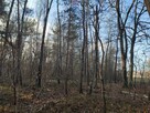 PISKÓRKA _ urokliwa działka w otoczeniu natury - 16