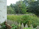 Działka siedliskowa Bolesławek gm. Żabia Wola - 3
