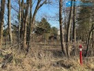 Działka 1195m2 w pobliżu Puszczy Kampinoskiej ! - 1