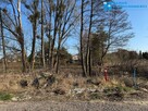 Działka 1195m2 w pobliżu Puszczy Kampinoskiej ! - 2