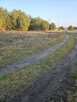 Sprzedam działkę bud- rolną w Łabędziowie 1,1 ha Morawica - 4