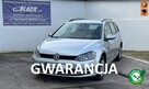 Volkswagen Golf Salon Polska, Gwarancja 12 miesięcy - 1