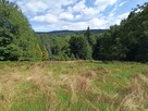 Działka budowlana Brenna, Leśna - 3