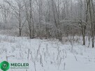 Rusiec - działka niedaleko lasu - 5