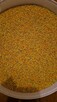 Sprzedam propolis, miod, pierzga - 3