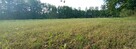 Działki budowlane Czubajowizna k. Wołomina, bezpośrednio - 3