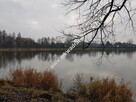 DZIAŁKA PRZY ZALEWIE KOMOROWSKIM - 3