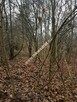 DZIAŁKA PRZY ZALEWIE KOMOROWSKIM - 7