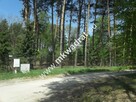 działka w otulinie lasu z pozwoleniem na budowę - 4