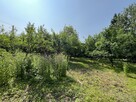 Działka 0,21 ha w Kaliszanach Kolonii gm. Józefów. - 8