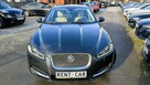 Jaguar XF 2.2D*163PS*Bezwypadkowy*Biksenon*Skóra*Serwis*Navi*VIP GWARANCJA24M - 5