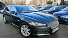 Jaguar XF 2.2D*163PS*Bezwypadkowy*Biksenon*Skóra*Serwis*Navi*VIP GWARANCJA24M - 6