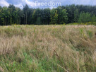 Działka rolno-budowlana - 4