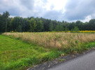 Działka rolno-budowlana - 6