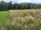 Działka rolno-budowlana - 7